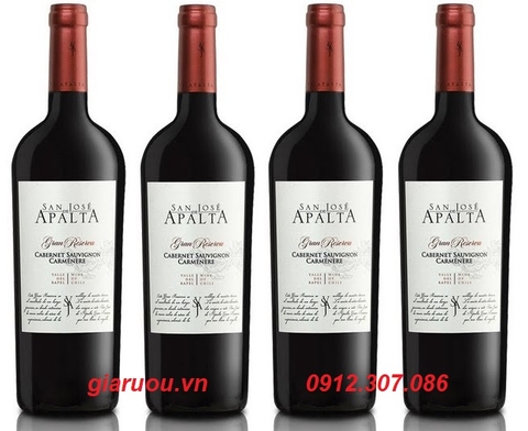 GIÁ VANG CHILE SAN JOSE APALTA GRAN RESERVA CABERNET SAUVIGNON RẺ NHẤT GIÁ VANG CHILE SAN JOSE APALTA GRAN RESERVA CABERNET SAUVIGNON RẺ NHẤT