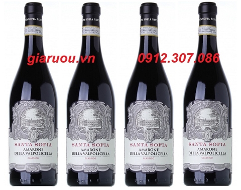 VANG Ý SANTA SOFIA AMARONE DELLA VALPOLICELLA GIÁ TỐT NHẤT -GIARUOU.VN VANG Ý SANTA SOFIA AMARONE DELLA VALPOLICELLA GIÁ TỐT NHẤT -GIARUOU.VN