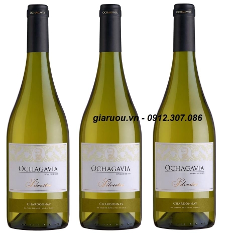 ĐỊA CHỈ BÁN VANG CHILE OCHAGAVIA SILVESTRE CHARDONNAY ĐỊA CHỈ BÁN VANG CHILE OCHAGAVIA SILVESTRE CHARDONNAY