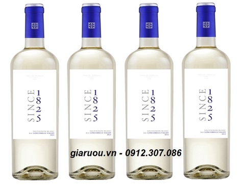 VANG CHILE SINCE 1825 SAUVIGNON BLANC - HÀNG CHUẨN, GIÁ CỰC TỐT VANG CHILE SINCE 1825 SAUVIGNON BLANC - HÀNG CHUẨN, GIÁ CỰC TỐT