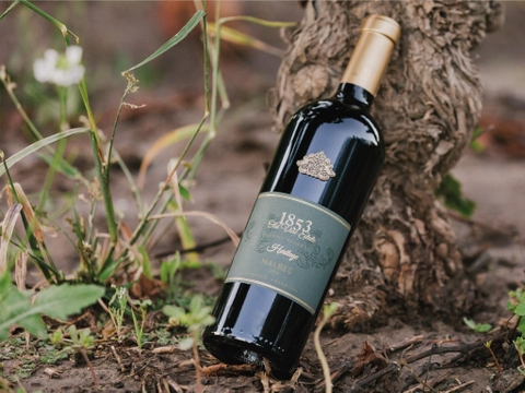 NƠI BÁN RƯỢU VANG 1853 HARITAGE MALBEC GIÁ RẺ NHẤT NƠI BÁN RƯỢU VANG 1853 HARITAGE MALBEC GIÁ RẺ NHẤT