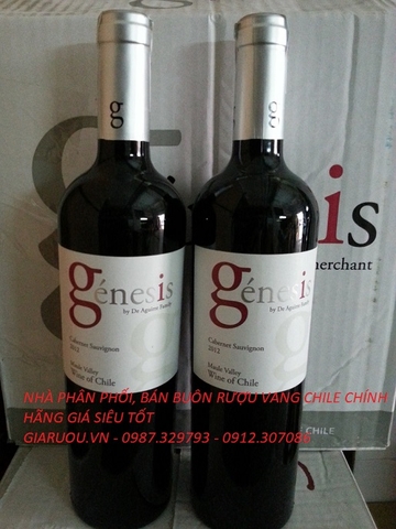 NHÀ PHÂN PHỐI, BÁN BUÔN RƯỢU VANG CHILE HÀNG CHUẨN GIÁ SIÊU RẺ Ở HÀ NỘI NHÀ PHÂN PHỐI, BÁN BUÔN RƯỢU VANG CHILE HÀNG CHUẨN GIÁ SIÊU RẺ Ở HÀ NỘI