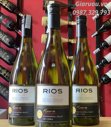 CUNG CẤP VANG CHILE RIOS RESERVA CHARDONNAY GIÁ TỐT NHẤT CUNG CẤP VANG CHILE RIOS RESERVA CHARDONNAY GIÁ TỐT NHẤT