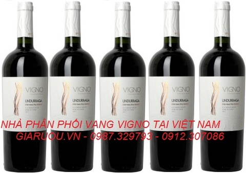 GIÁ VANG CHILE VIGNO UNDURRAGA SIÊU RẺ GIÁ VANG CHILE VIGNO UNDURRAGA SIÊU RẺ