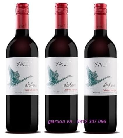 GIÁ VANG CHILE YALI WILD SWAN CABERNET SAUVIGNON