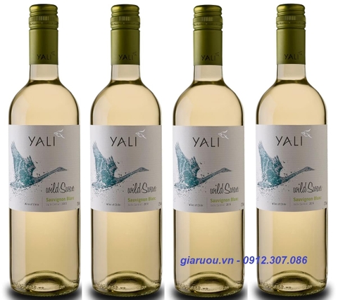 PHÂN PHỐI VANG CHILE YALI WILD SWAN SAUVIGNON BLANC PHÂN PHỐI VANG CHILE YALI WILD SWAN SAUVIGNON BLANC