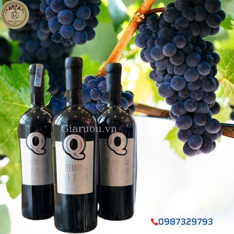 BÁN VANG Ý Q PREMIUM REOLO GIÁ RẺ TỐT NHẤT BÁN VANG Ý Q PREMIUM REOLO GIÁ RẺ TỐT NHẤT
