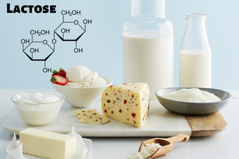 Lactose là gì? Bất dung nạp Lactose do nguyên nhân nào gây nên