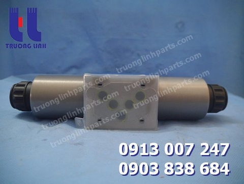 4WRAE10W60-2X-G24K31-A1V Van