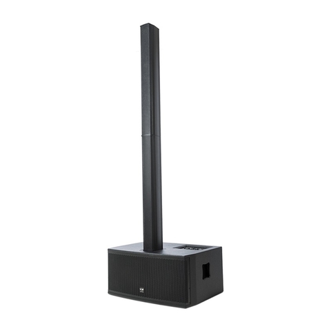 Loa SE Audiotechnik C6