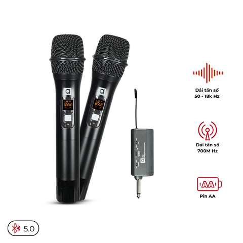 Micro không dây Alpha Works A2 (2 mic)