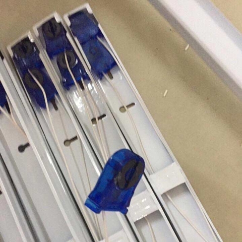 Máng