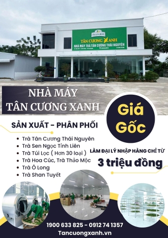 Top 3 trà Thái Nguyên đắt nhất sở hữu hương vị thơm ngon mê ly