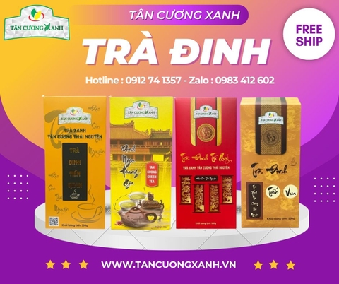 Bí Quyết Trồng Chăm Sóc Vườn Trà Đinh Tân Cương Xanh