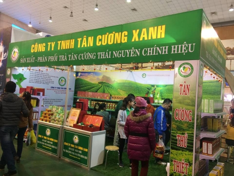 Chè Tân Cương ngon tại Bạc Liêu với những công dụng không ngờ