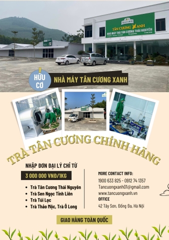 Hình Ảnh Khách Nước Ngoài Tham Quan Nhà Máy Tân Cương Xanh