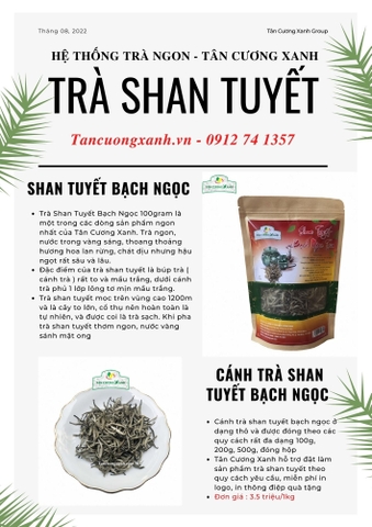 Trà Shan Tuyết 1000m săn mây là gì? Sự khác biệt Trà Shan tuyết 1000m là gì?