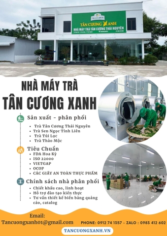 Trà Thái Nguyên Hữu Cơ