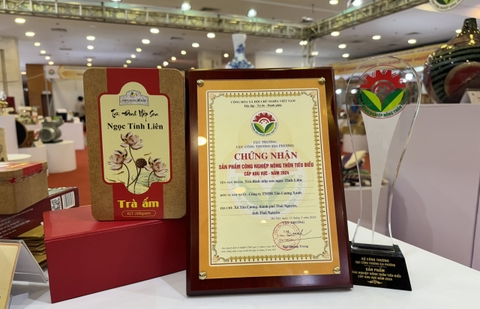 Trà Thái Nguyên - Thức Quà Tinh Hoa Đất Việt