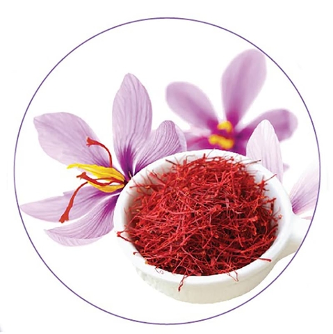 Thu âm quảng cáo phát loa cho chương trình của Saffron