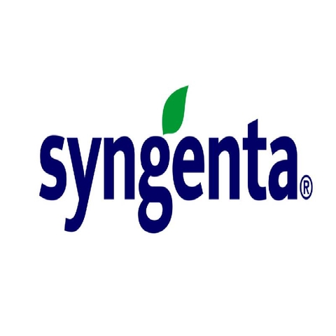 Thu âm thuốc điều trị bệnh hoa cúc công ty Syngenta