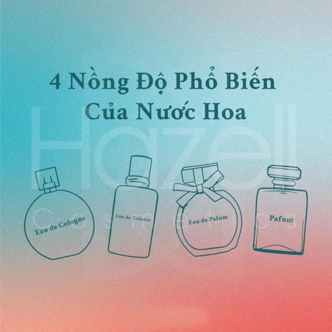 4 NỒNG ĐỘ PHỔ BIẾN CỦA NƯỚC HOA