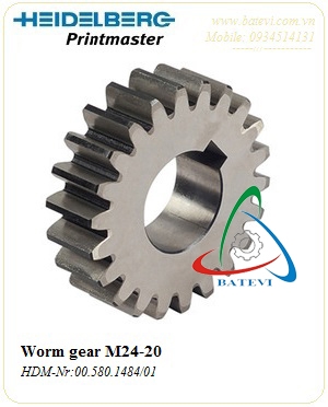 Worm gear 00.580.1484/01