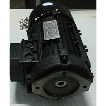 Động cơ bơm dầu Y2-90L-4