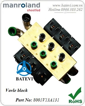 Valve block 8001V13A131