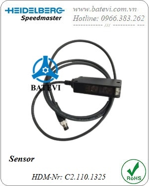 Sensor C2.110.1325