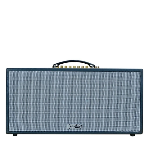 Loa xách tay Acnos CS451Plus ( Bass 20cm, RMS 250W, Kèm 2 micro)