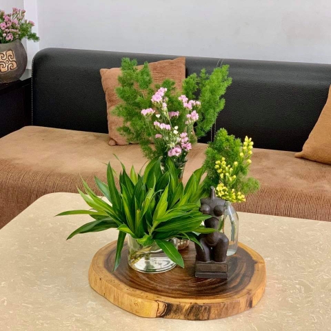 Mang thiên nhiên gần hơn với mọi không gian gia đình bạn
