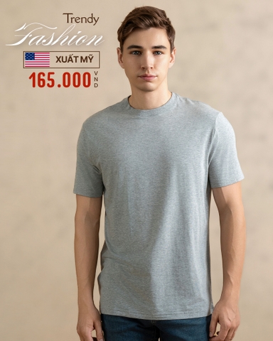 ÁO THUN NAM CỔ TRÒN TAY NGẮN XUẤT MỸ MÀU XÁM AT4909L5
