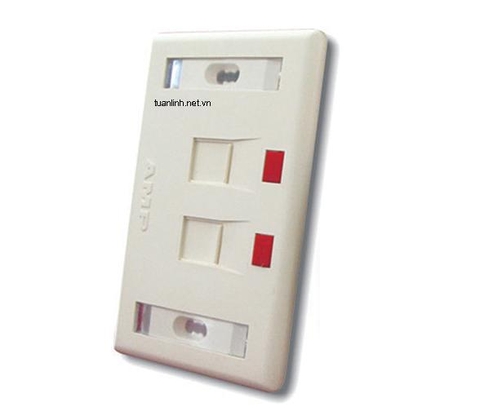 AMP Faceplace 2p (Mặt wallplate AMP 2P )