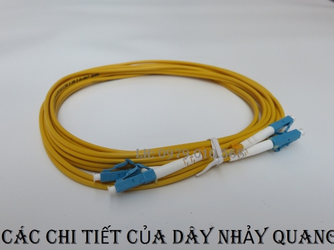 Dây nhảy quang có những chi tiết gì bên trong?