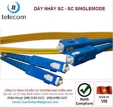 Dây nhảy quang Singlemode 5m duplex Sc - SC