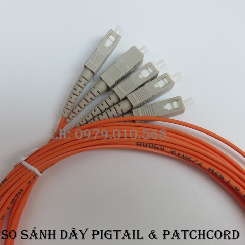 Cách nhận biết dây nối quang (Pictail) và dây nhảy quang ( Patchcord) đơn giản nhất