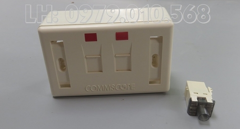 AMP Faceplace 2p (Mặt wallplate AMP 2P )