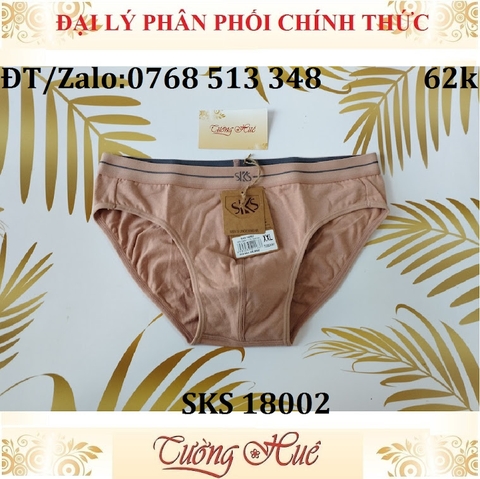 Quần lót nam Darlin SKS 18002 quần tam giác cotton trơn.