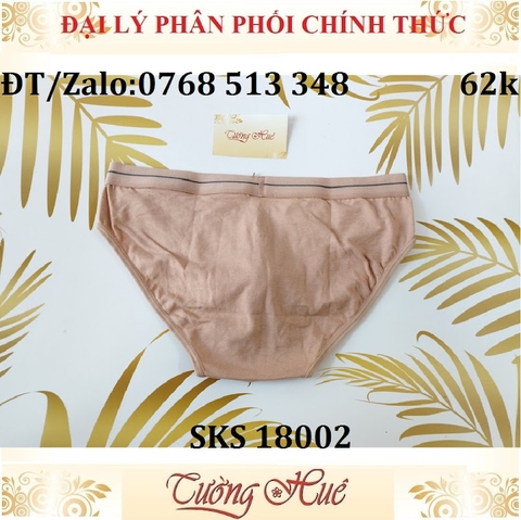 Quần lót nam Darlin SKS 18002 quần tam giác cotton trơn.