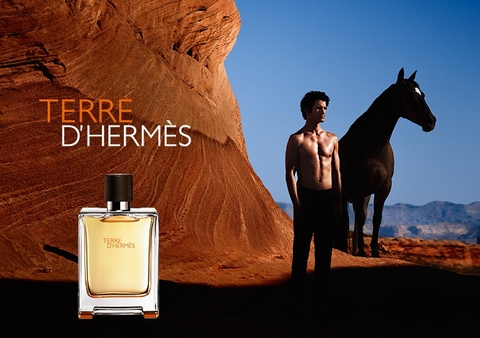 Nước hoa nam Hermès Terre d