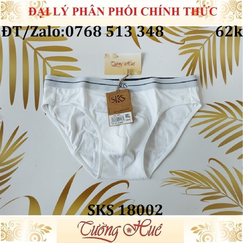 Quần lót nam Darlin SKS 18002 quần tam giác cotton trơn.