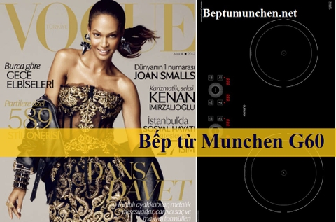 Lộ diện phiên bản bếp từ Munchen G60 2015 tại Việt Nam