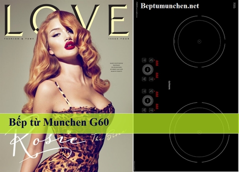 Bếp từ Munchen G60:
