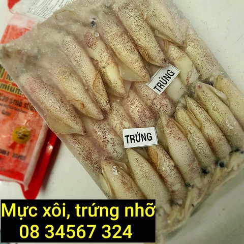 Mực trứng , mực xôi size nhỡ