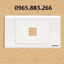 Mặt ổ cắm mạng hình chữ nhật S18 1 Lỗ, mặt ổ cắm mạng thoại