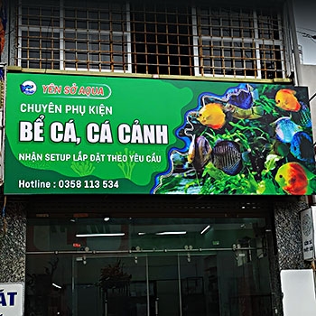 Biển quảng cáo đẹp cho cửa hàng cá cảnh, thủy sinh