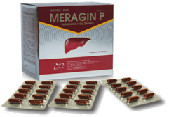 MERAGIN P