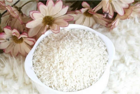 Gạo Nàng Hoa sữa - Gò Công