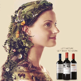 Rượu vang hữu cơ Emiliana xu hướng xanh